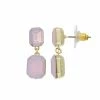 Brilliance Gold Tone Simulated Rosewater Opal Crystal Double Cushion Drop Earrings -Brilliance Shop unnamed file 1150