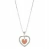Brilliance Two Tone Crystal Heart Pendant Necklace -Brilliance Shop unnamed file 1285