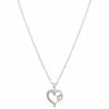 Brilliance "Querida Hermana" Two Tone Crystal Double Heart Necklace