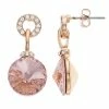 Brilliance Crystal Charm Drop Earrings Silver Tone Clear -Brilliance Shop unnamed file 948