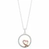 Brilliance Two Tone Crystal Heart Round Necklace